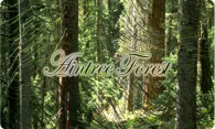 Aintree Forest 2004 logo