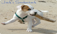 Jacks Smokestack logo
