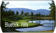 Bluetick Hills logo