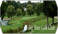 Big Run Golf Club logo