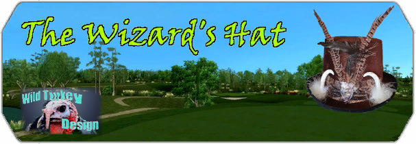 The Wizard`s Hat logo